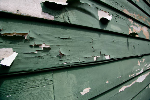 Storm Damage Siding Repair in Coeburn, VA